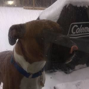 Meet your Posher, Delia